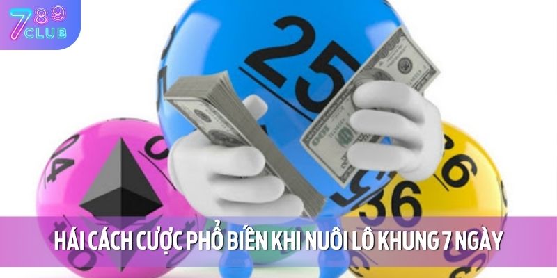 Nuôi Lô 7 Ngày - Phương Án Chơi Cá Cược Hiệu Quả Tại 789CLUB 3 Hái cách cược phổ biến khi nuôi lô khung 7 ngày