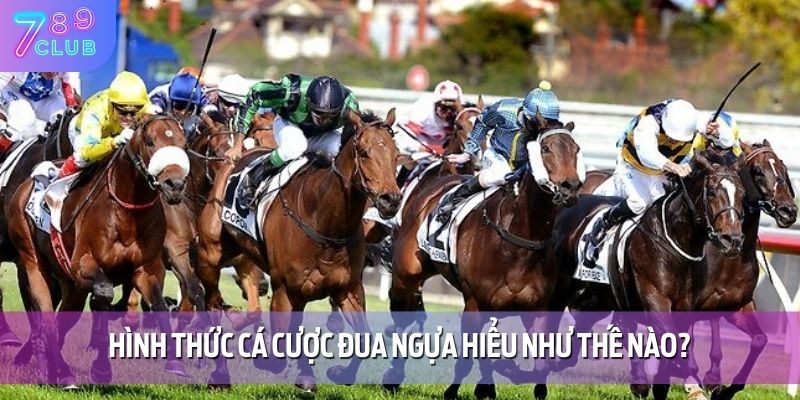Cá Cược Đua Ngựa 789CLUB – Đua Là Thắng, Chơi Là Mê 2 Hình thức cá cược đua ngựa hiểu như thế nào?