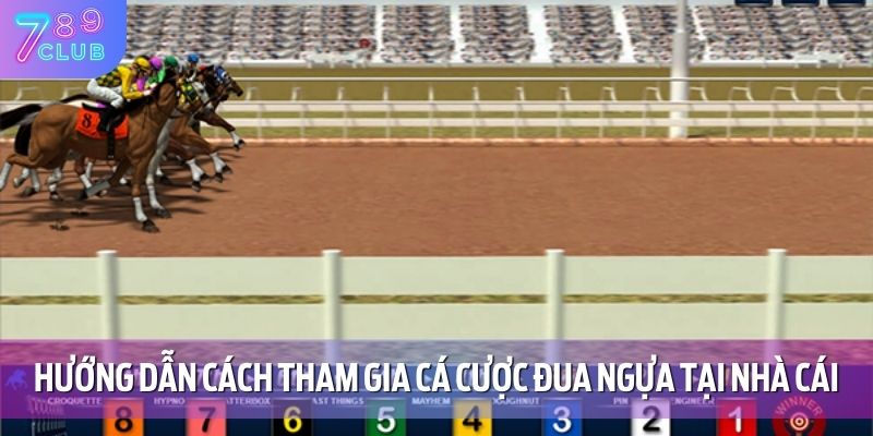 Cá Cược Đua Ngựa 789CLUB – Đua Là Thắng, Chơi Là Mê 3 Hướng dẫn cách tham gia cá cược đua ngựa tại nhà cái