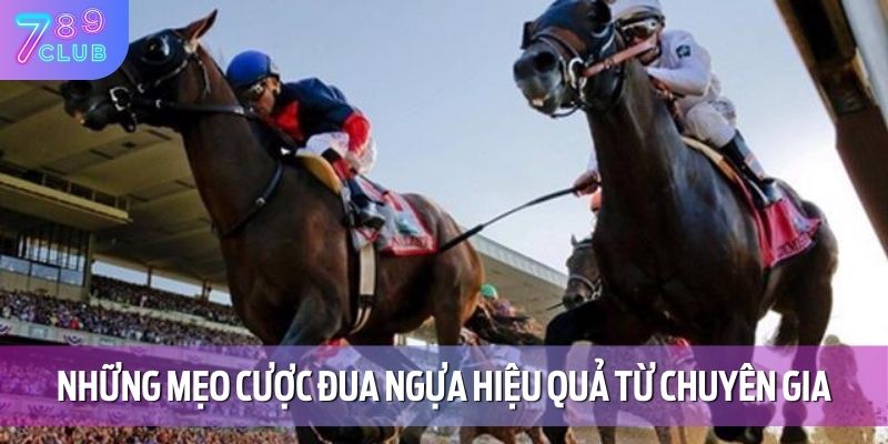 Cá Cược Đua Ngựa 789CLUB – Đua Là Thắng, Chơi Là Mê 4 Những mẹo cược đua ngựa hiệu quả từ chuyên gia