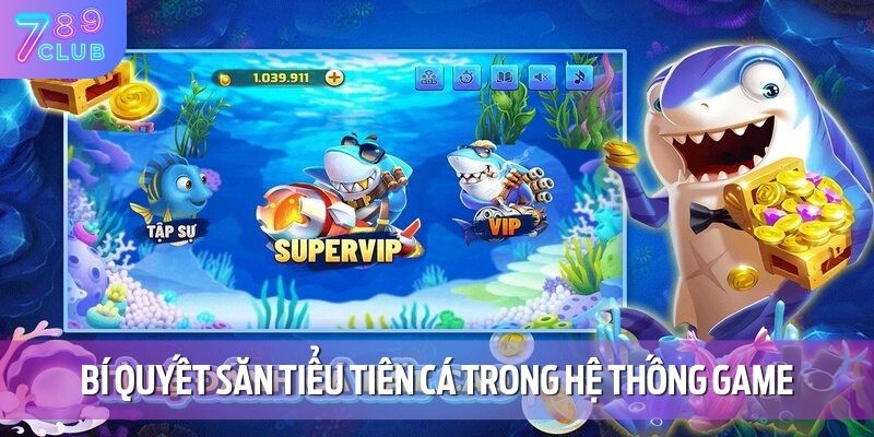 Bắn Cá Tiểu Tiên Cá 789CLUB – Chinh Phục Các Cấp Độ Thú Vị 4 Bí quyết săn tiểu tiên cá trong hệ thống game